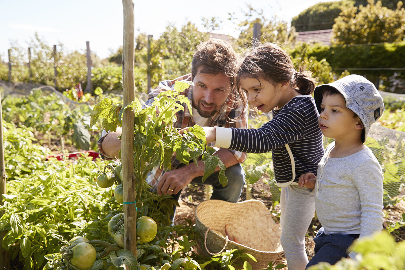 Philosophy: Nature and Family