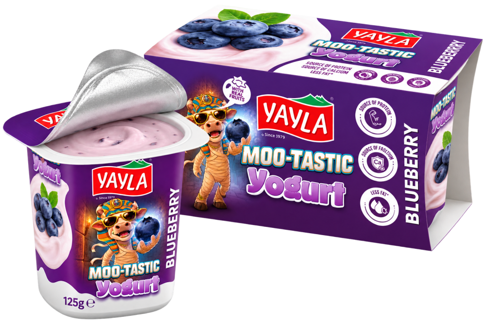 MooTastic - Blaubeer-Joghurt 