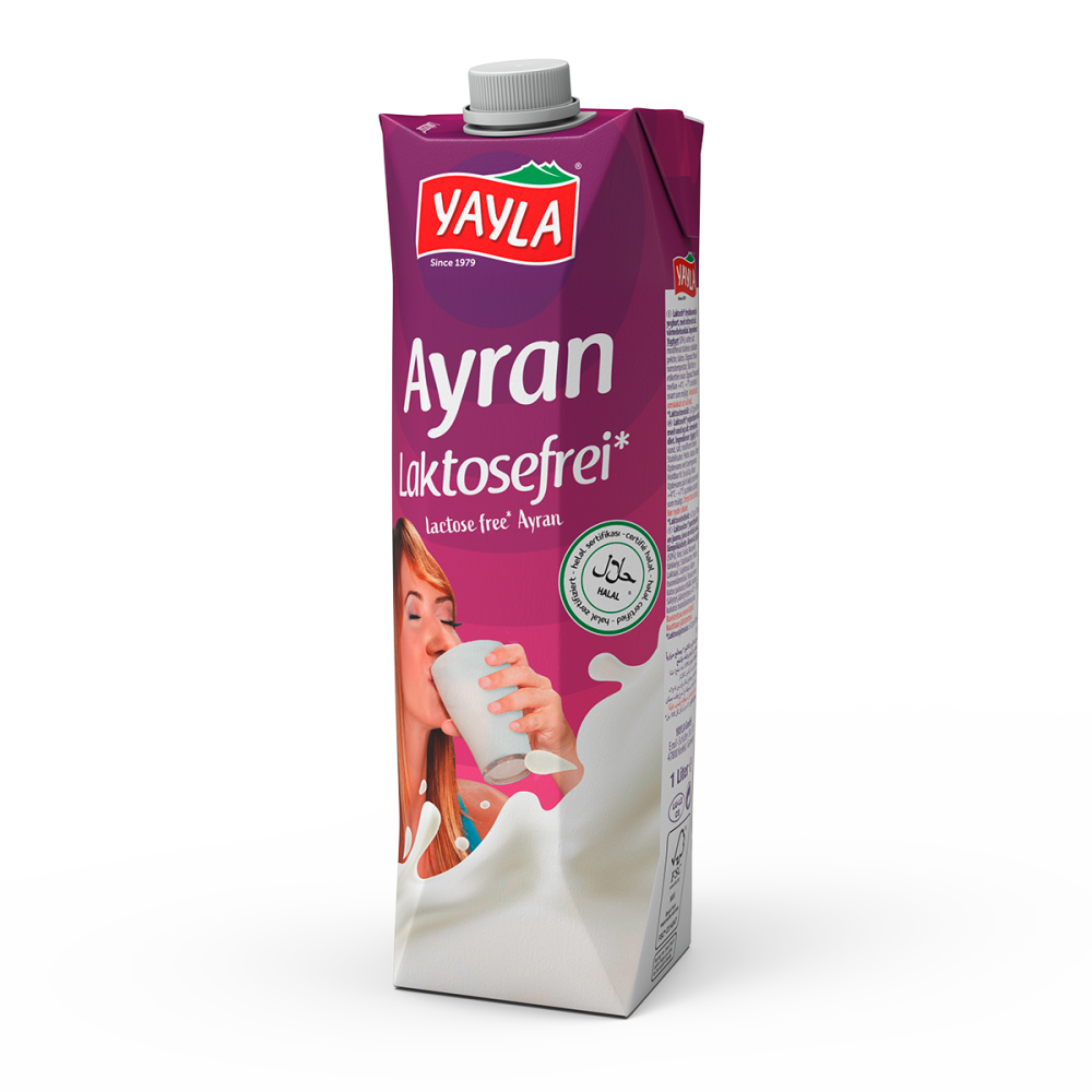 Laktosefreier Ayran