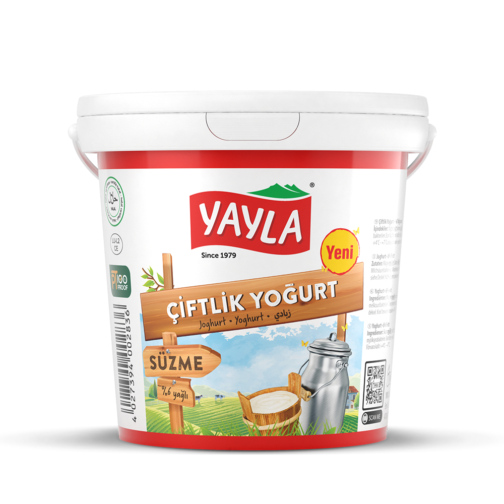 Yoghurt (6% fat)