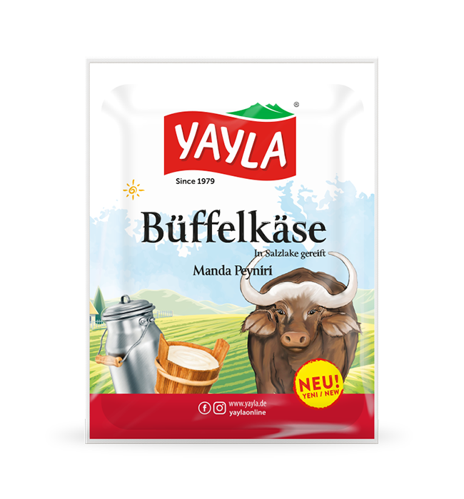 Büffelkäse in Salzlake gereift