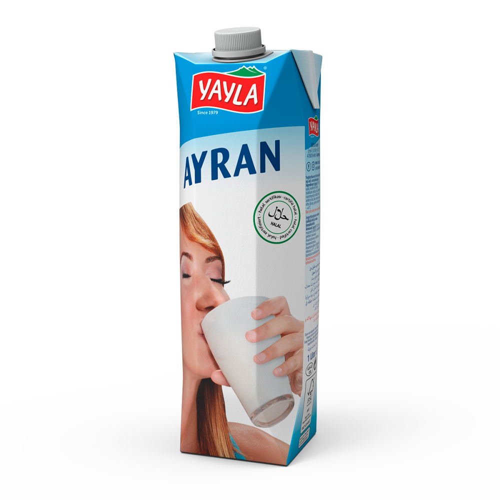 Ayran-Joghurt-Drink nach türki­scher Art