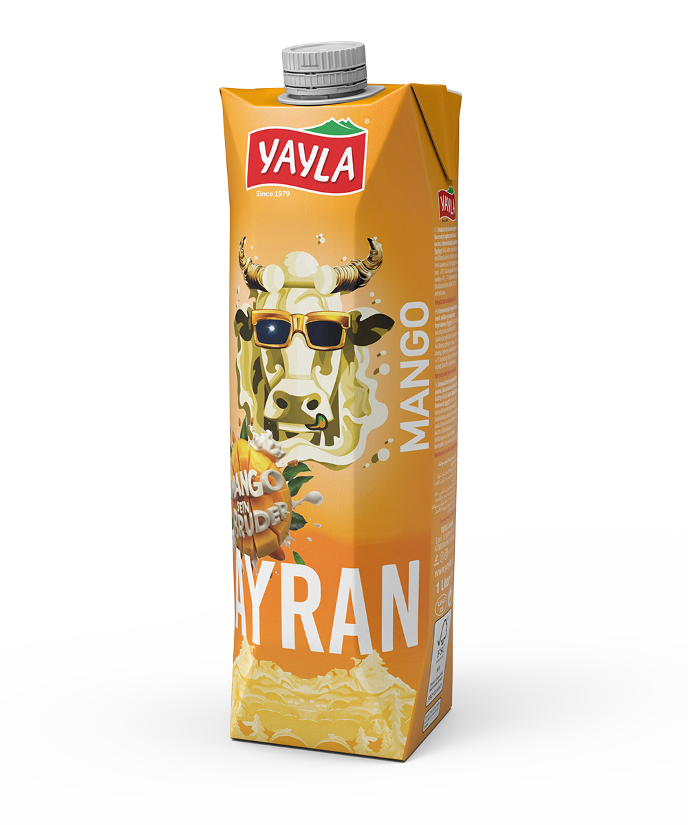 Ayran-Joghurt-Drink mit Mango-Aroma nach türkischer Art