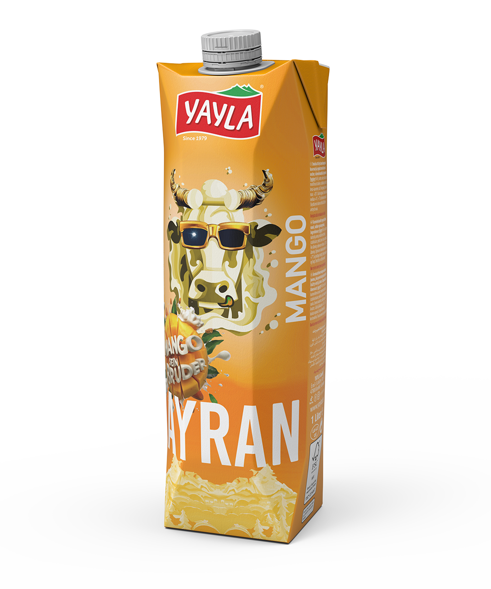 AYRAN - MANGO