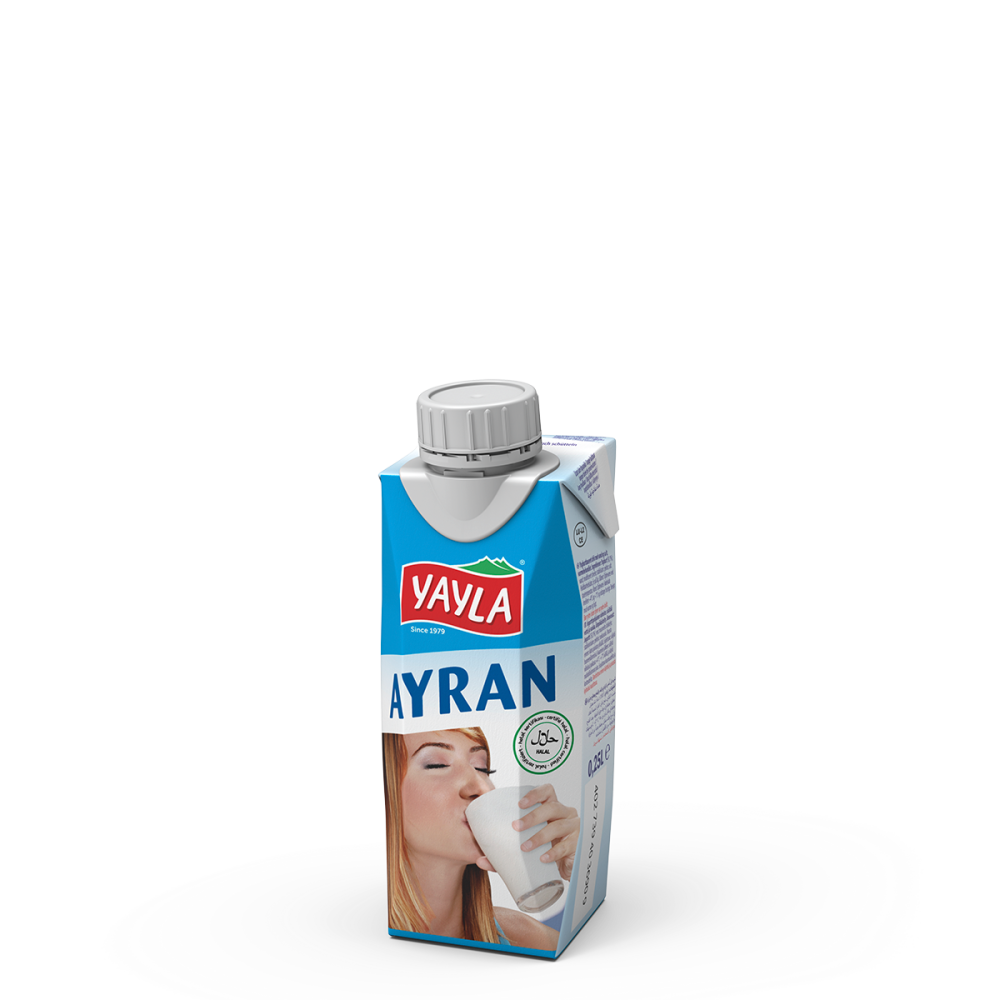 Ayran-Joghurt-Drink nach türki­scher Art