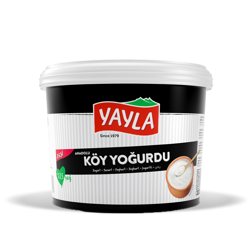 Joghurt (3,5% Fett) - nach Anatolischer Art