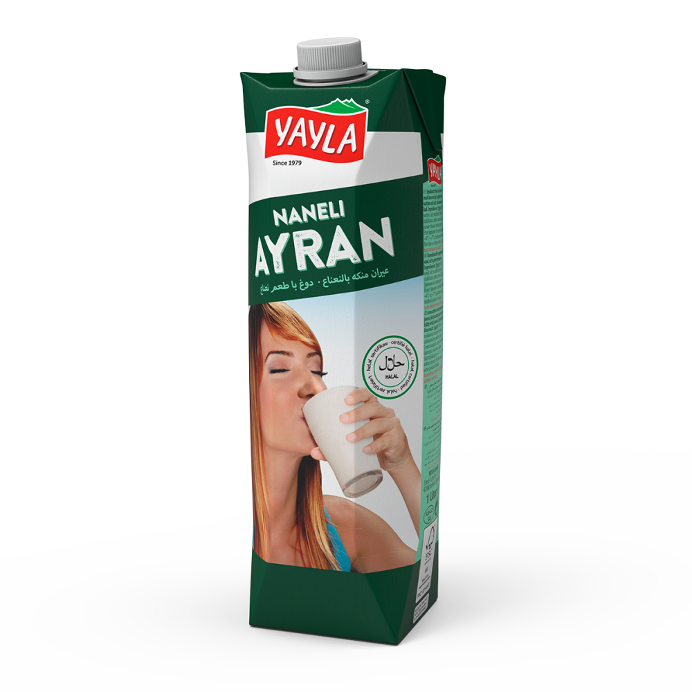 Ayran-Mint flavored Yoghurt-Drink Turkish Style
